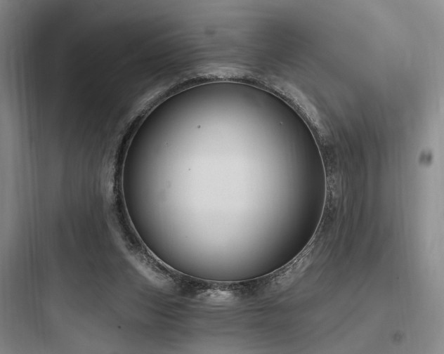 X0000097970159200803241243