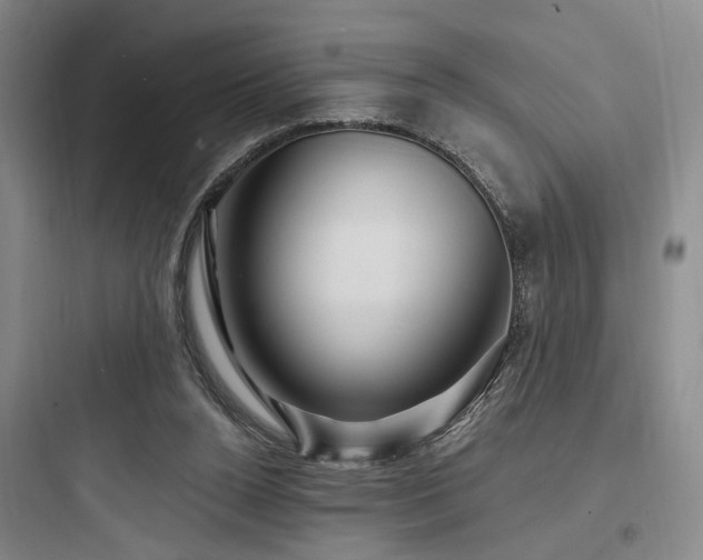 X0000097970160200803241243