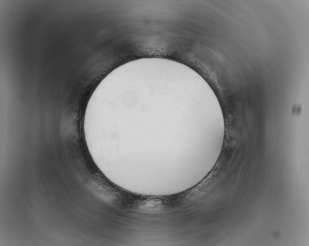 X0000097970162200803241243