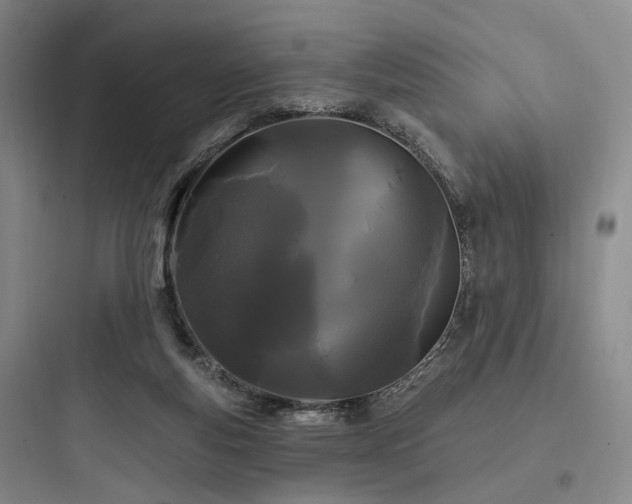 X0000097970163200803241243