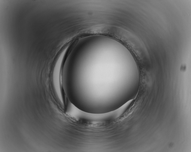 X0000097970164200803241243