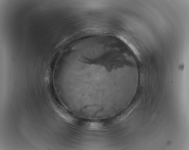X0000097970165200803241243
