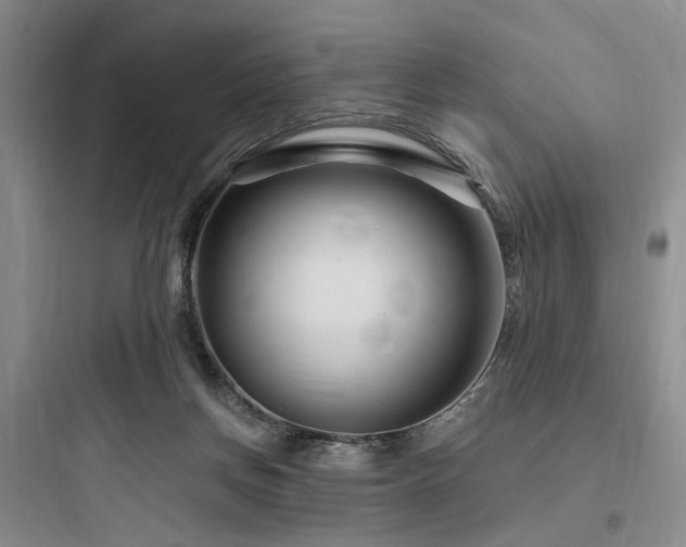 X0000097970166200803241243