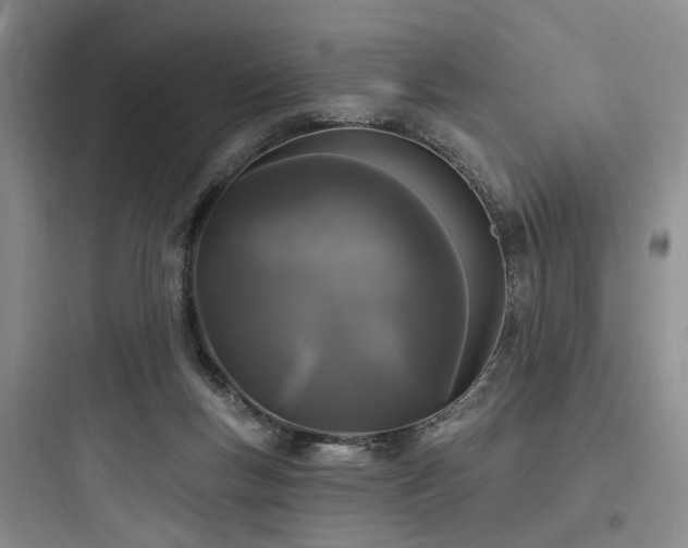 X0000097970167200803241243