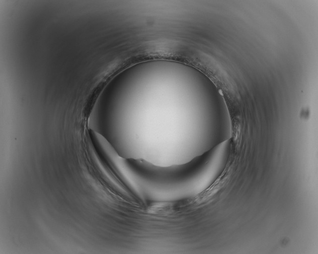 X0000097970168200803241243