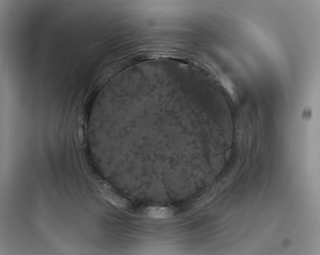 X0000097970169200803241243