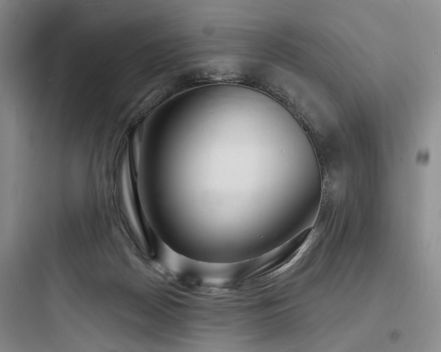 X0000097970170200803241243