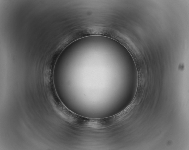 X0000097970171200803241244