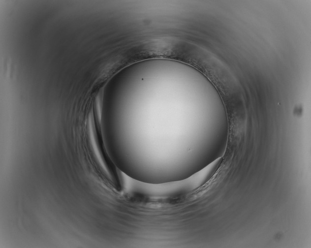 X0000097970172200803241244