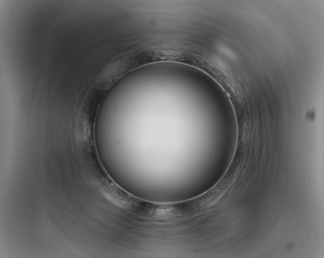 X0000097970173200803241244
