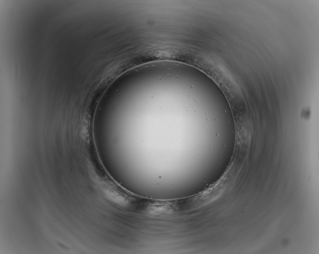 X0000097970175200803241244