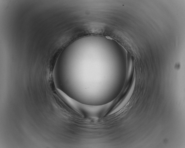 X0000097970176200803241244