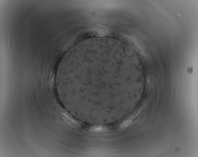 X0000097970177200803241244
