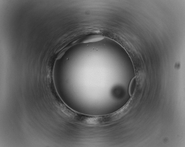 X0000097970178200803241244
