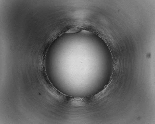 X0000097970179200803241244
