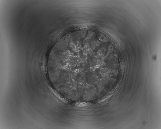 X0000097970181200803241244