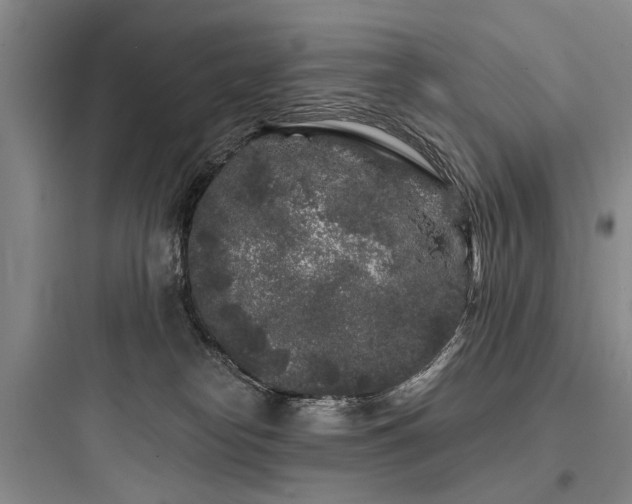 X0000097970182200803241244