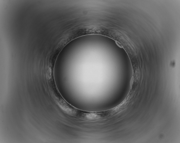 X0000097970183200803241244