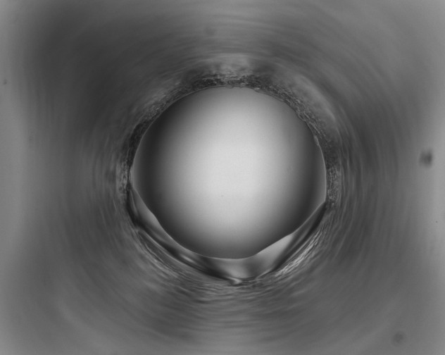 X0000097970184200803241244