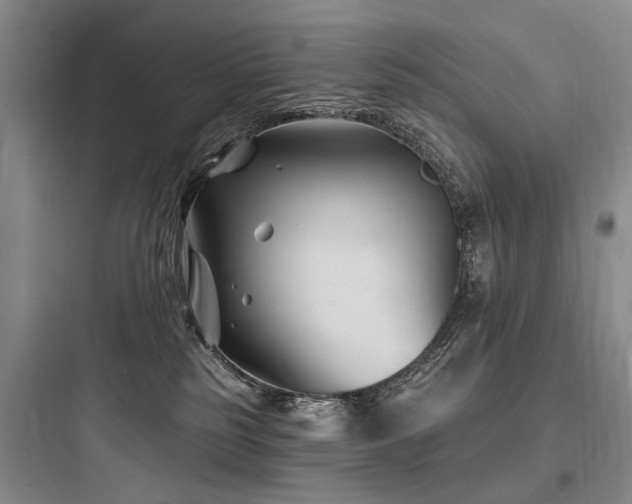 X0000097970185200803241244