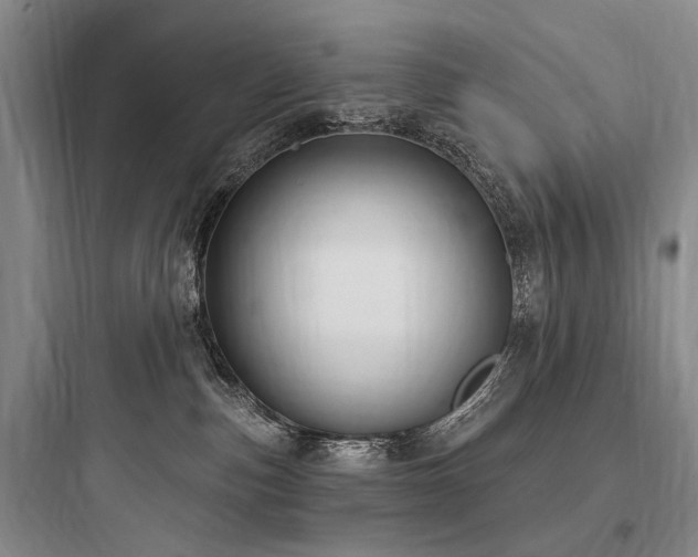 X0000097970187200803241244