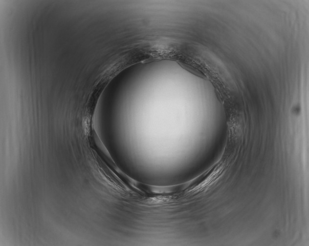 X0000097970188200803241244