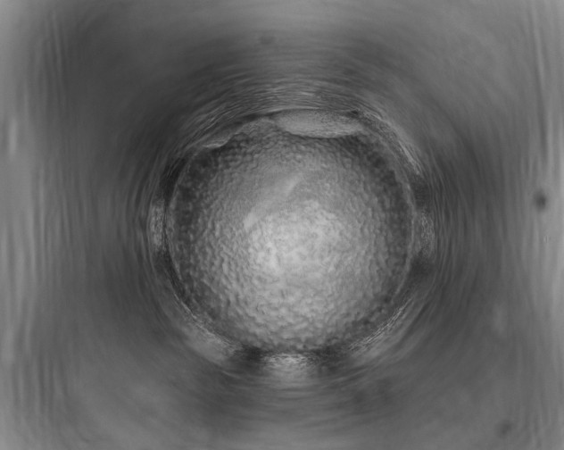 X0000097970189200803241244