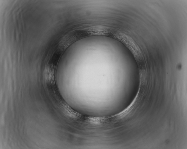 X0000097970190200803241244