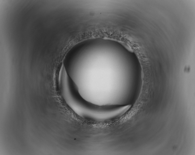 X0000097970192200803241244