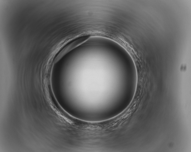 X0000097970193200803241243