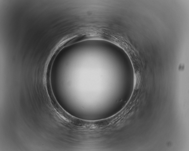 X0000097970195200803241243
