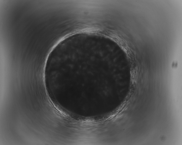 X0000097970196200803241243