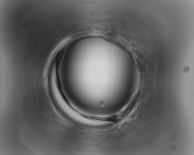 X0000097970197200803241243