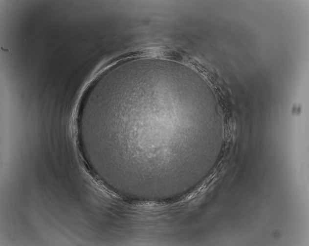 X0000097970198200803241243