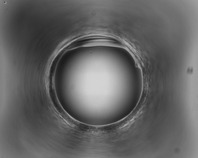 X0000097970199200803241243