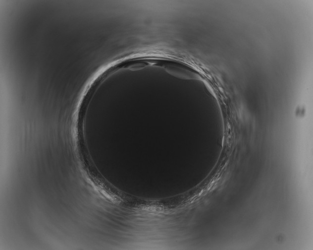 X0000097970200200803241243