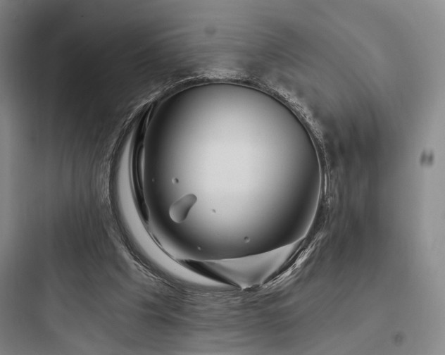 X0000097970201200803241243