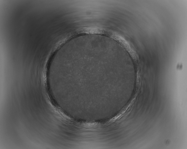 X0000097970202200803241243