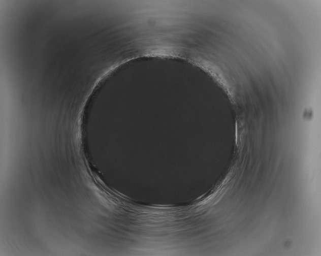 X0000097970204200803241243
