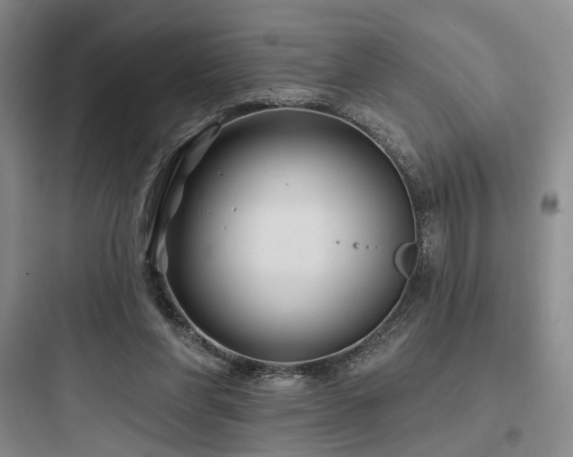 X0000097970206200803241243