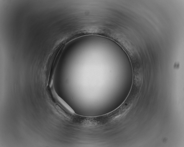 X0000097970207200803241243