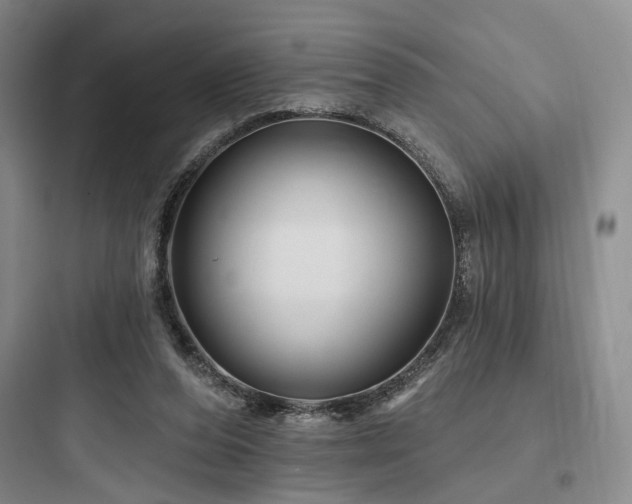 X0000097970208200803241243