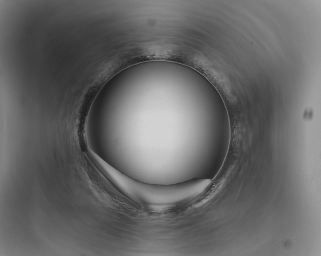 X0000097970209200803241243