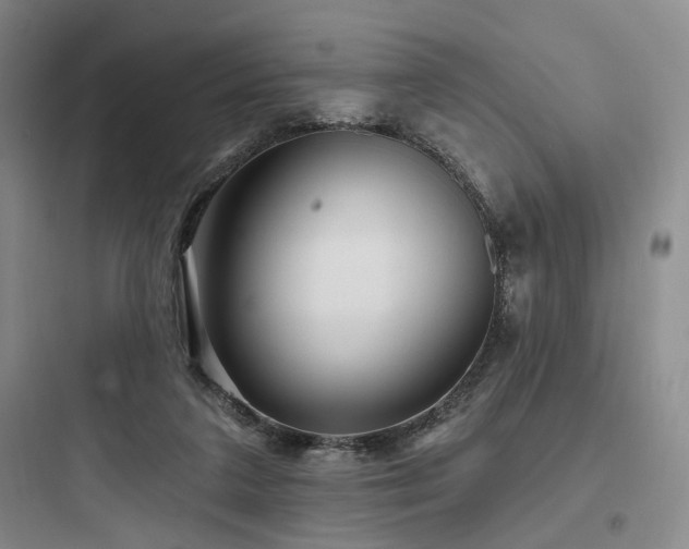 X0000097970211200803241243