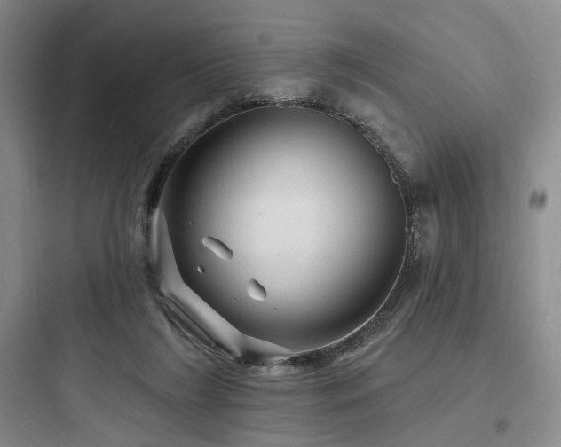 X0000097970212200803241243
