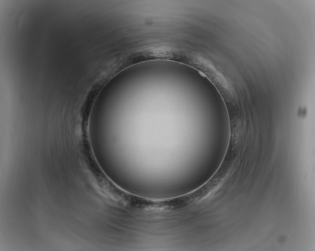 X0000097970213200803241243
