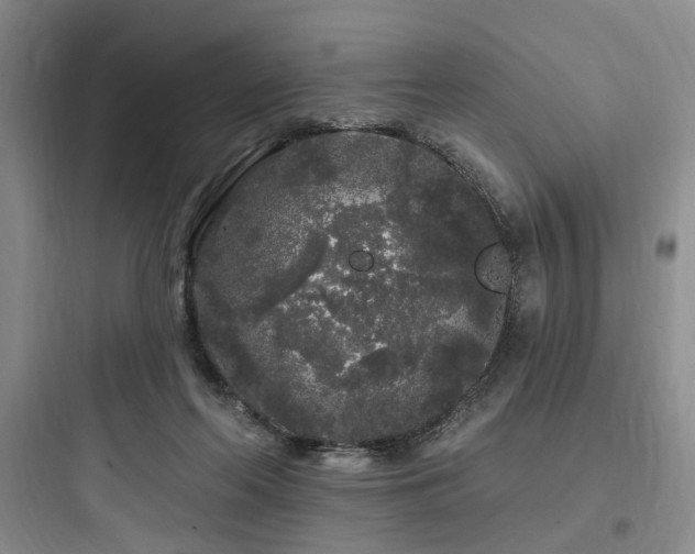 X0000097970214200803241243