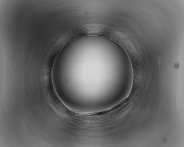 X0000097970215200803241243