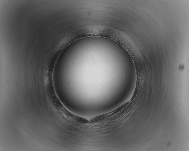 X0000097970216200803241243