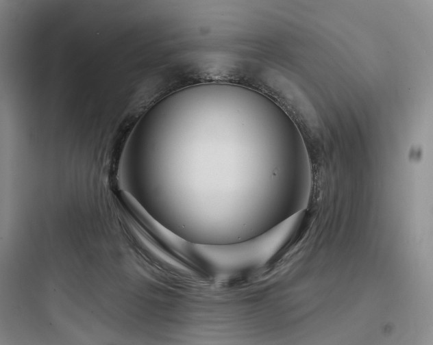 X0000097970217200803241243